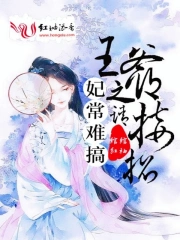 妃常难搞之王爷请接招