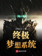 终极梦想系统