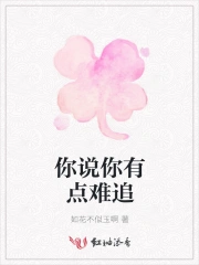 你说你有点难追