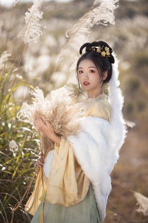 凡渊劫