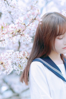 上层绿